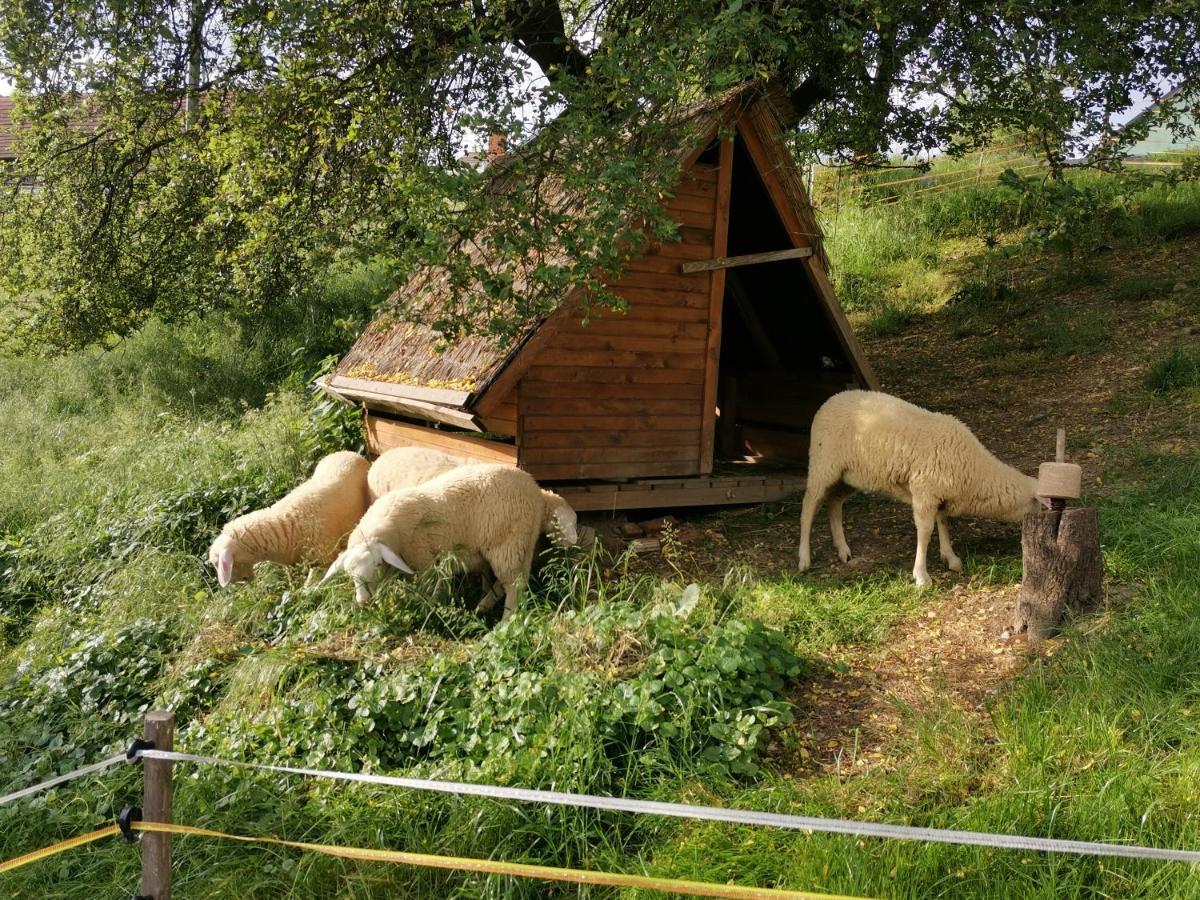 Camping Silva Ljutomer Exterior photo